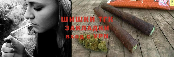 сатива Инсар