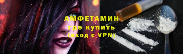 сатива Инсар