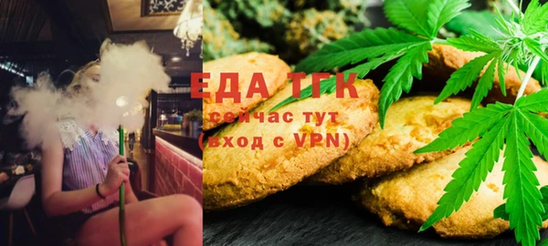 сатива Инсар