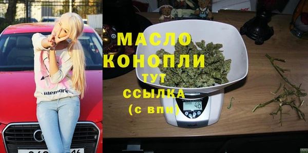 сатива Инсар