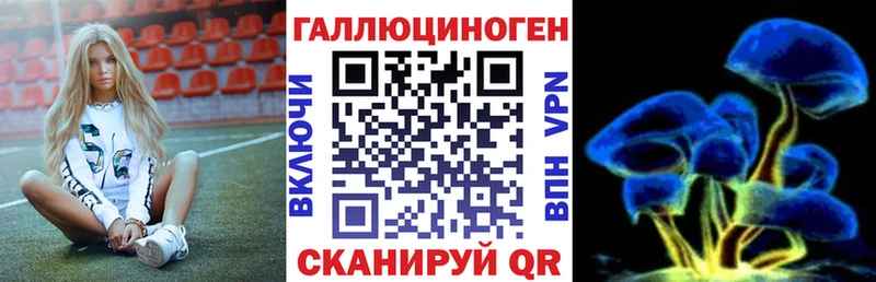 Купить закладки  Морозовск  Галлюциногенные грибы Cubensis 